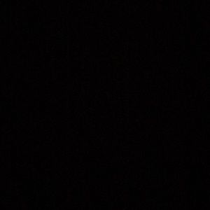 Meet your Posher, Ally